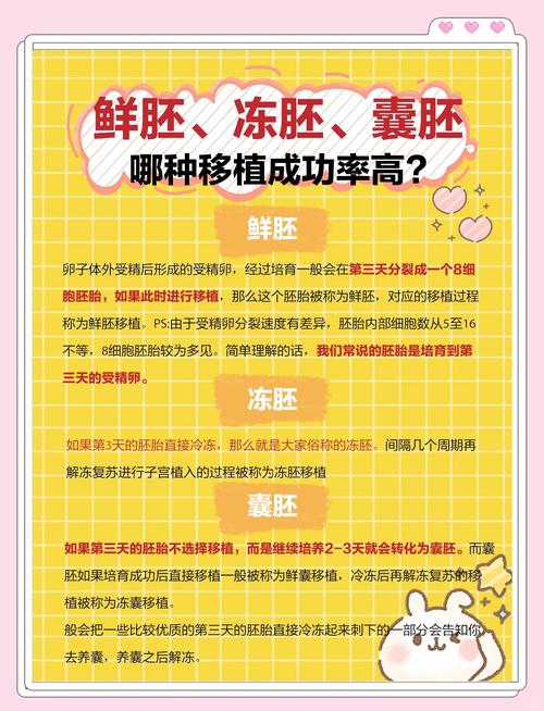 养囊胚成功率