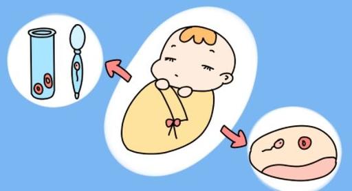 试管婴儿成功后是否会出现发热现象？