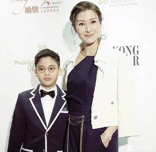 揭秘：哪位明星曾成功尝试试管婴儿生育之路？