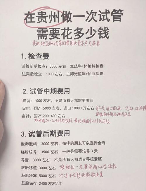 全面解析：伯亚泰试管婴儿的费用到底多少钱？