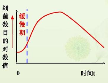 降调时期