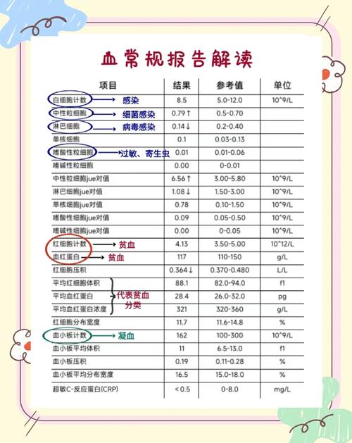 抽血报告解读