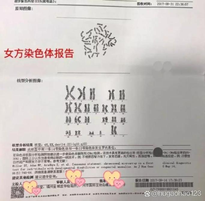 解析试管受精中的染色体检查：为何专注于女性方的基因分析？