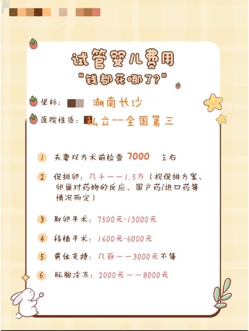试管婴儿与代孕费用详解：做试管代花多钱？