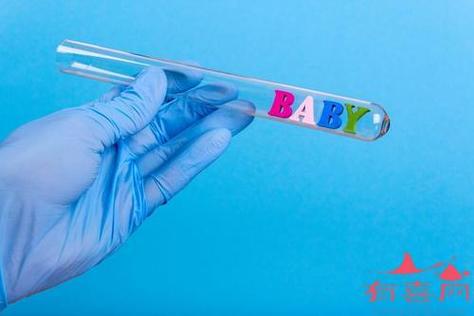 泰国供卵试管费用详解：多少钱能实现生育梦想？