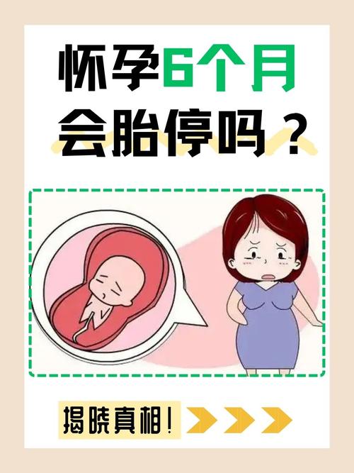 鲜胚胎停育