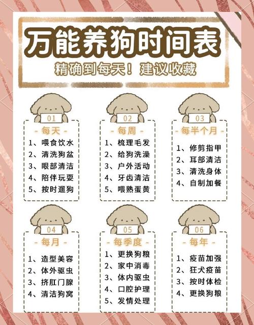 试管移植期间是否适合养狗？注意事项解析