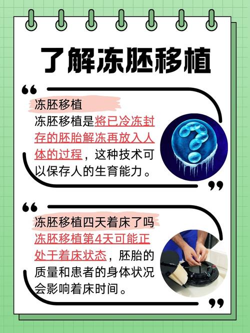 冻胚试管婴儿移植