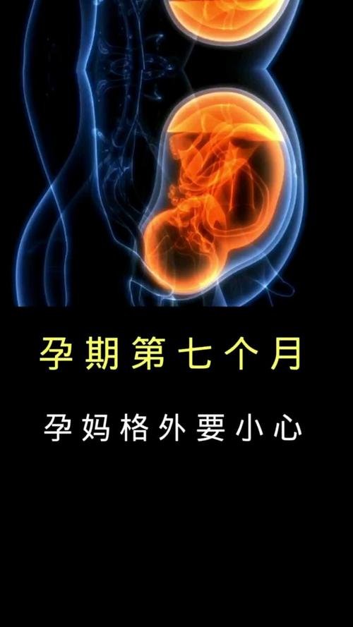 孕期七个月