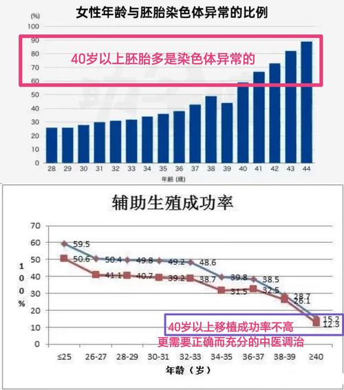 取胚胎数量