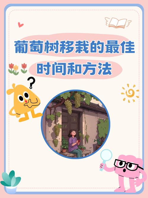  植入时机