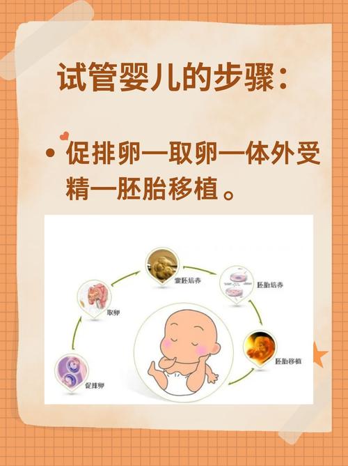 沈阳试管婴儿成功案例大揭秘，你了解吗？