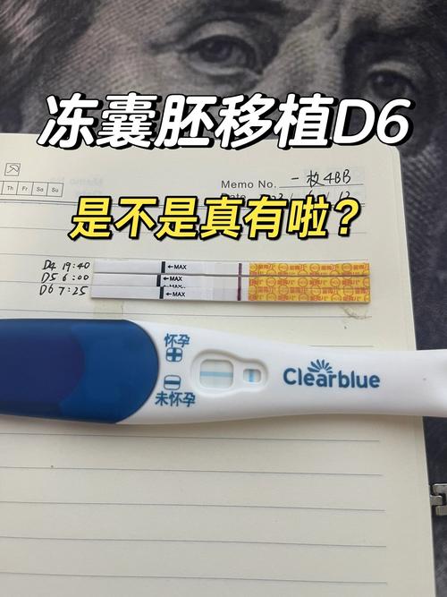 囊胚培养6天