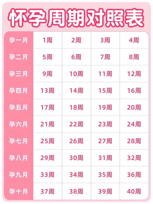 怀孕稳定期