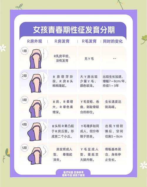 发育特征