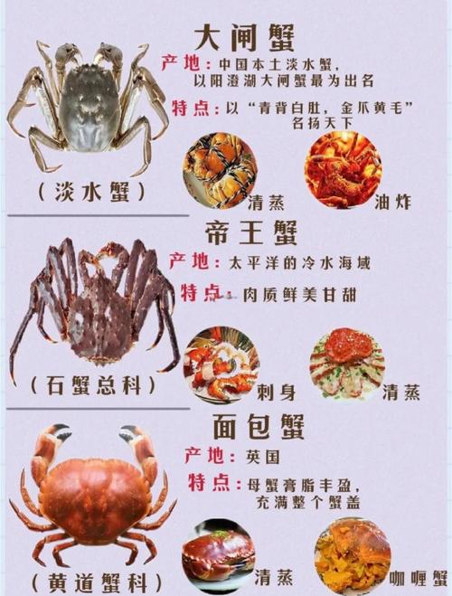 试管期间能否放心享用大闸蟹？健康建议解析