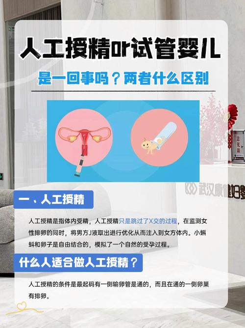 做供精需要试管吗？全面解析供精与试管的关系