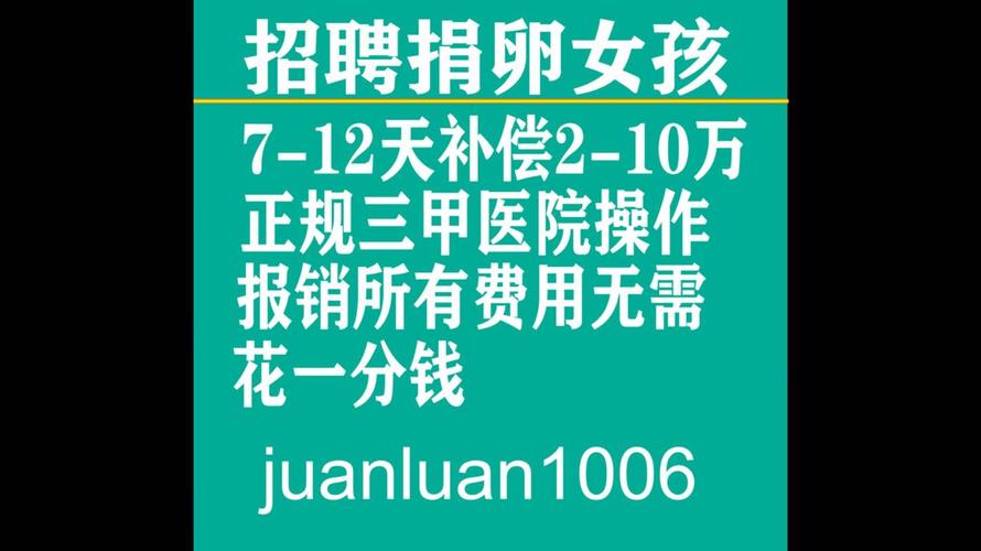 上海试管婴儿中心推荐：哪里可以捐卵？