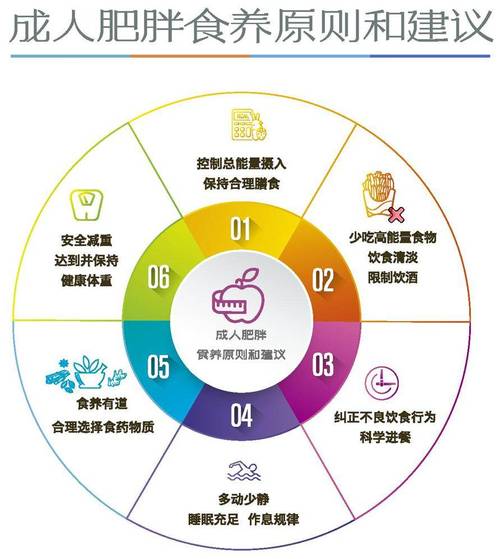 营养策略