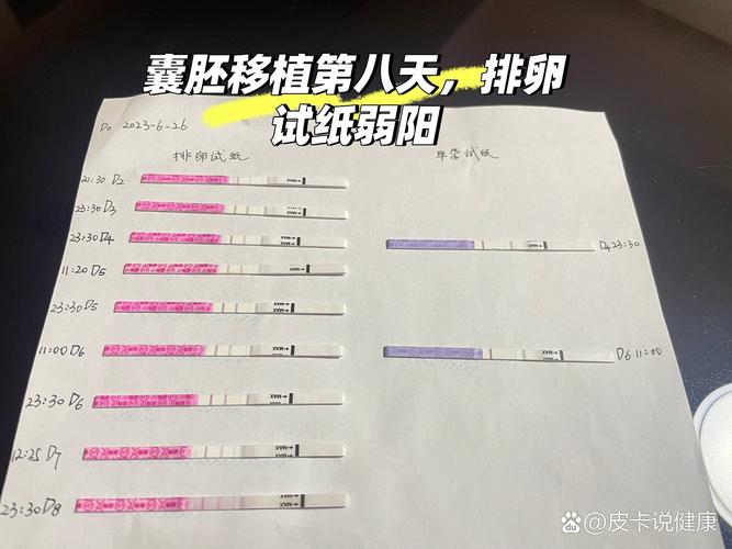 试管移植后是否能清晰观察宫图？