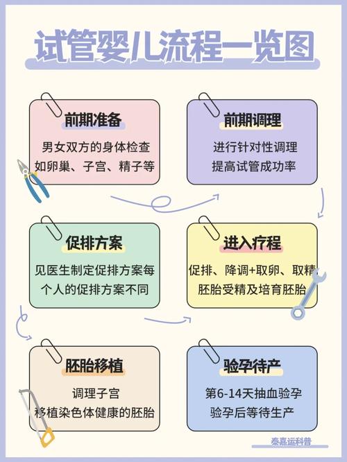 试管婴儿前为何要进行排精？详细解析与注意事项