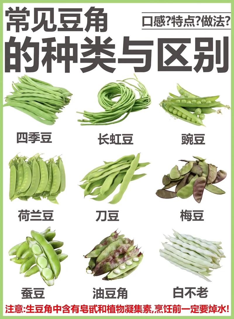  豆类