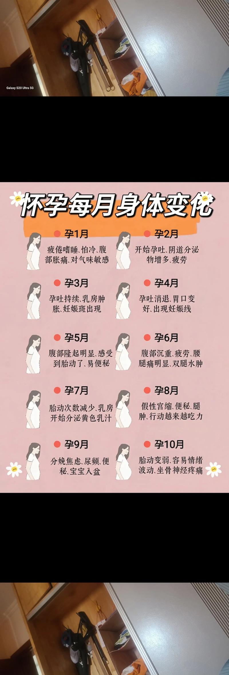 怀孕流程
