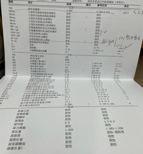 检查结果解读