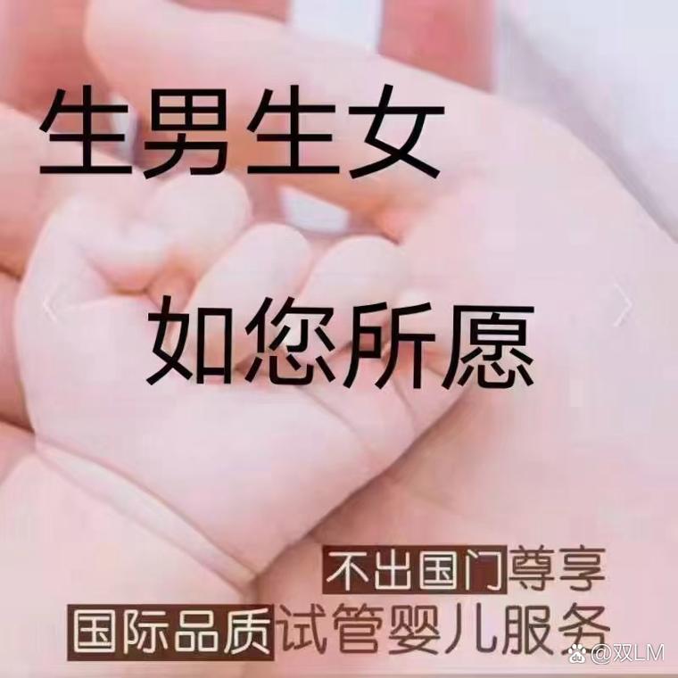  试管咨询