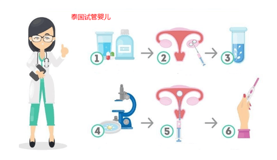现在泰国还能去试管婴儿吗？最新信息与注意事项