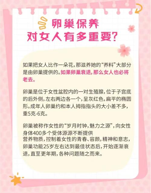  女性卵巢健康
