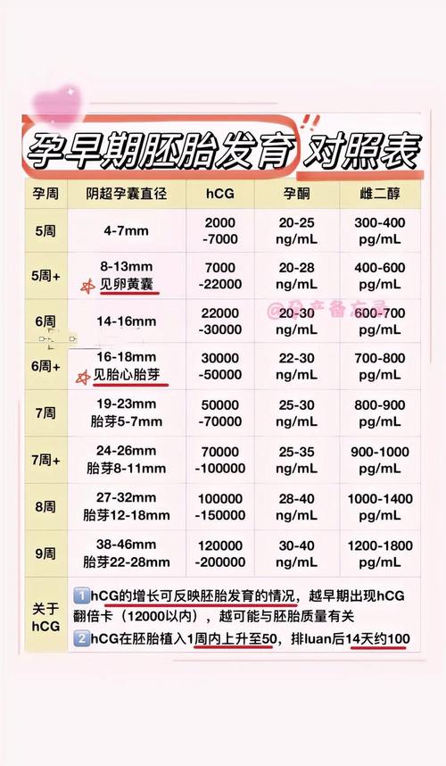 试管婴儿怀孕后多久能够听到宝宝的胎心？