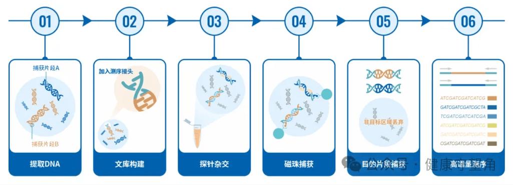  NGS基因筛查