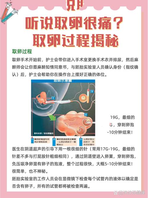 试管半麻取卵的真实体验：痛吗？如何缓解不适感？
