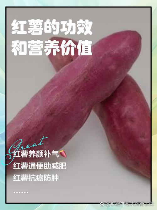 试管孕早期能否安全食用红薯？专家详解
