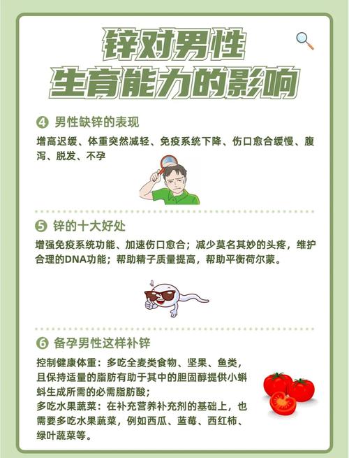  锌与生殖健康