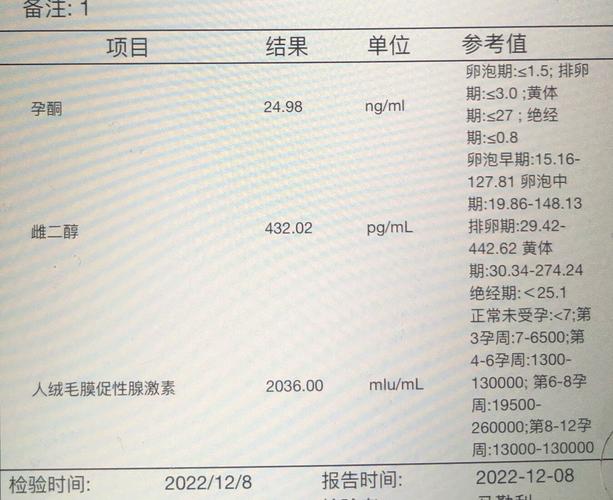 移植14天报告