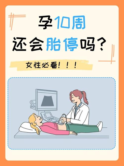胚胎胎停
