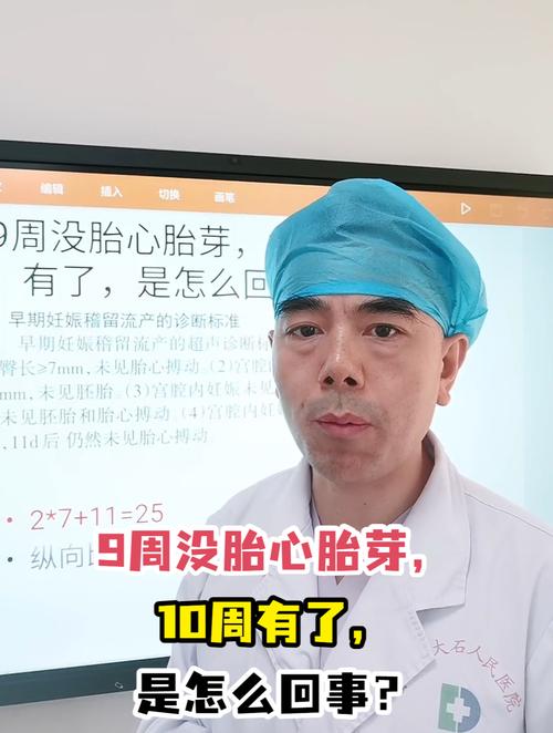 九周未见胎心