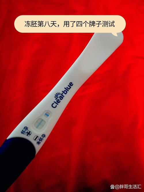 D5冻胚移植