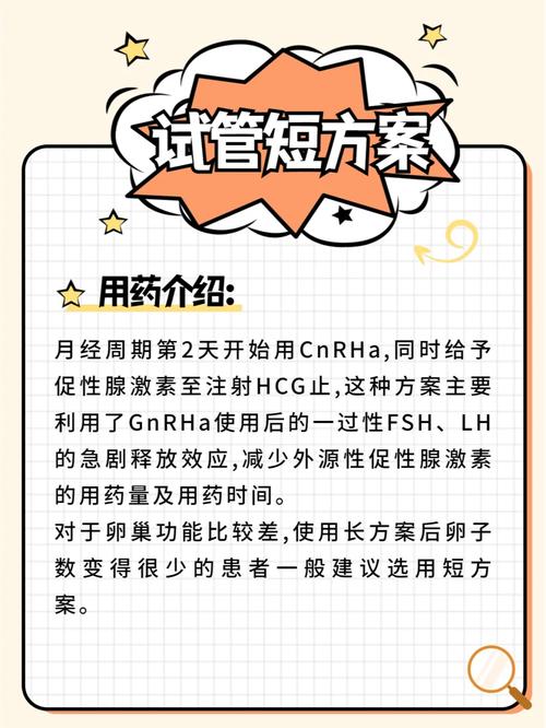 试管短方案适合哪些人群？详解其适用条件与优势