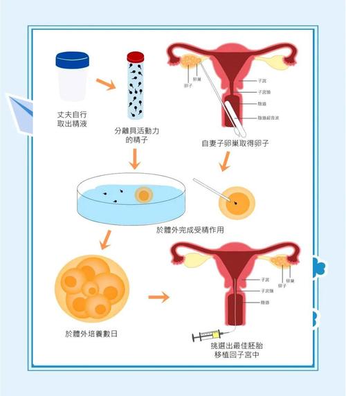 胚胎融合技术