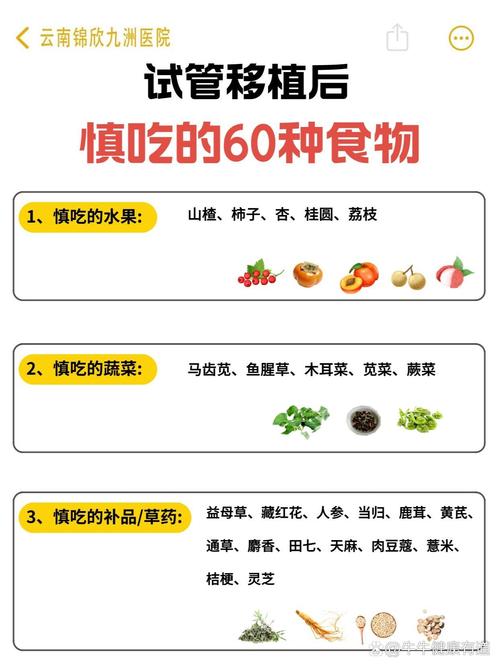 试管能不能吃长豆？揭秘背后的健康影响与科学真相！