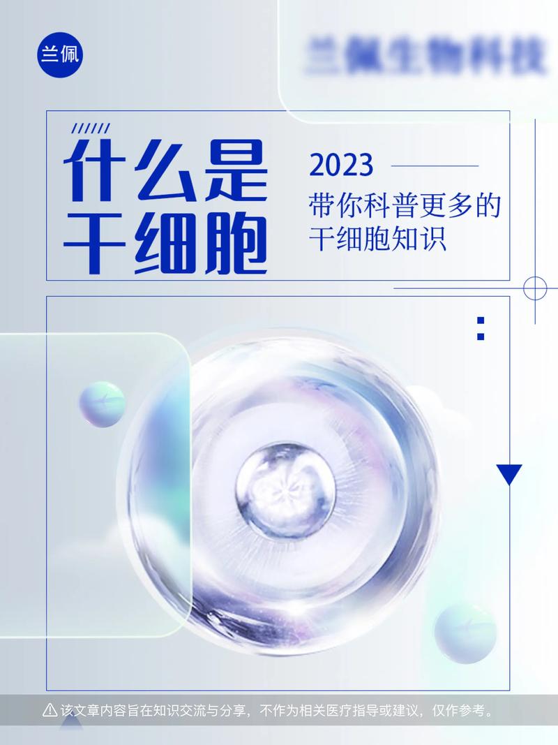  干细胞应用