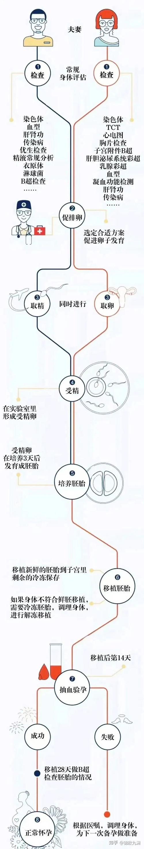 试管婴儿技术是否允许选择性别：能否选儿子？