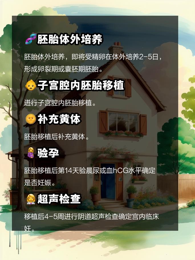 试管婴儿过程中卵泡小能否成功取出？