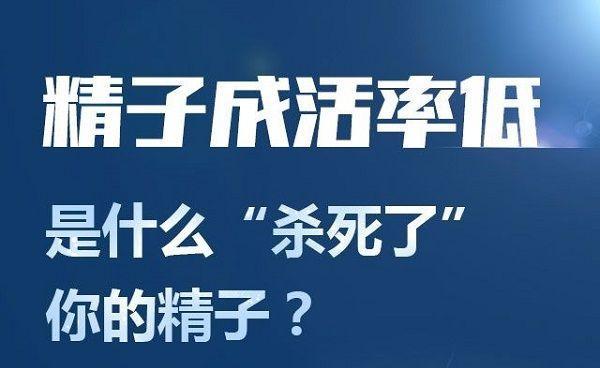 低精子存活率如何影响试管婴儿成功率？