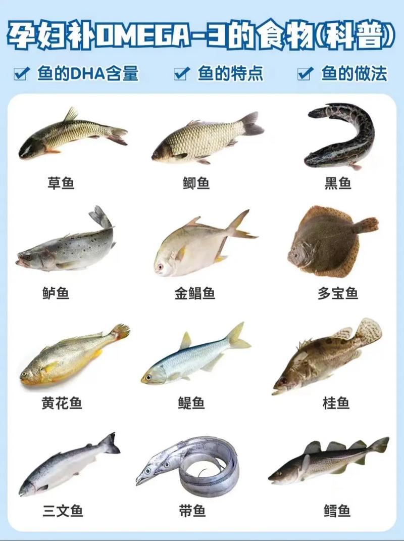 试管移植后怀孕期间适合吃哪些鱼类食物？