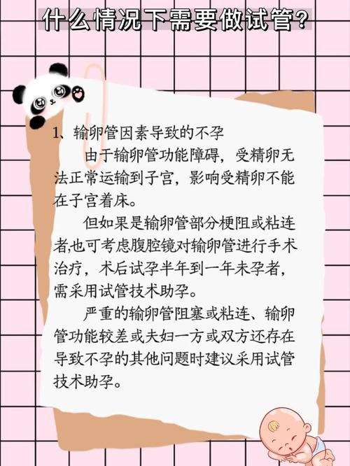 做试管能否引发肺结核？解析试管与疾病的关系