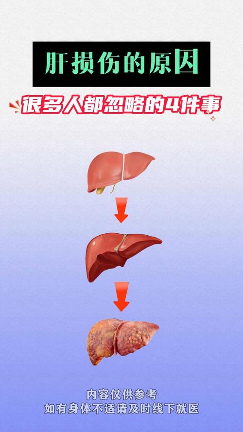 肝脏影响